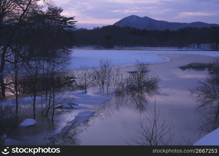 Winter landscape