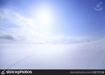 Winter landscape