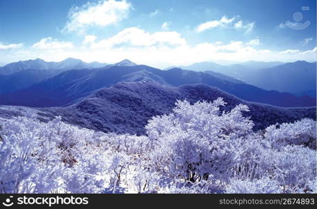 Winter Landscape