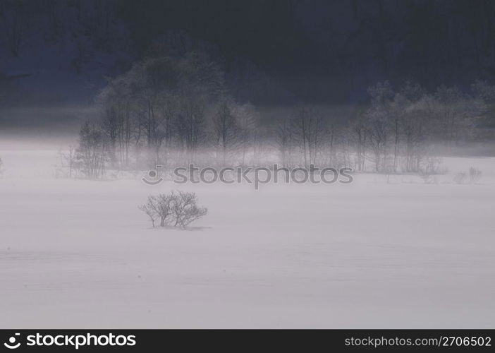 Winter landscape