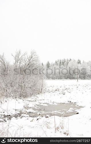 Winter landscape