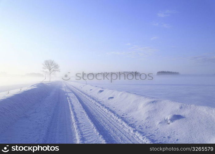 Winter landscape