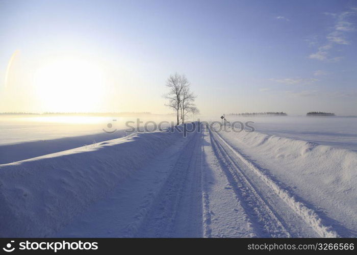 Winter landscape