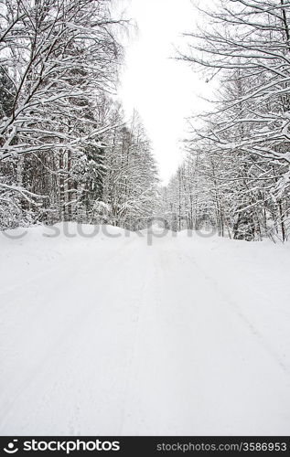 Winter landscape