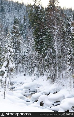 winter landscape - a nonfreezing stream in wild snowy forest