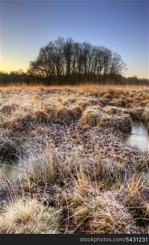 Winter landscape across fields with frostty grass and bog frozen over with trees on horizon