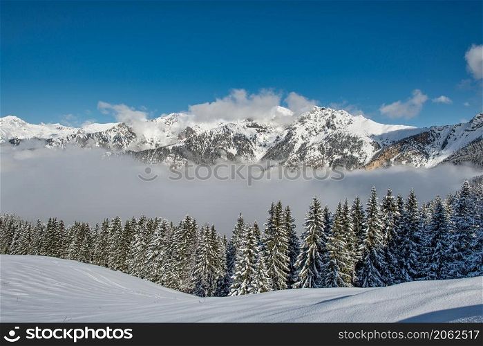 Winter landscape after a snowfall on the Italian Alps