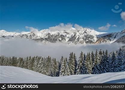 Winter landscape after a snowfall on the Italian Alps