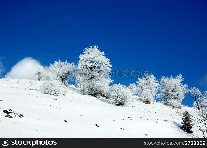 winter landscape against deep blue sky with fluffy clouds