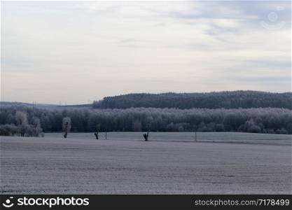 Winter landscape at dusk agricultural field with a forest and electric poles with wires.. Winter landscape at dusk