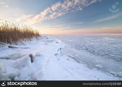 Winter landscape. Composition of nature.