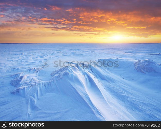 Winter landscape. Composition of nature.