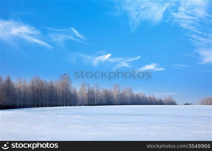Winter landscape - forest and field covered with snow