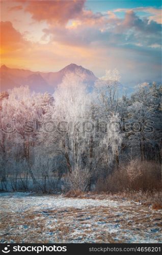 winter landscape. Forest in the background of mountains. Forest in the background of mountains