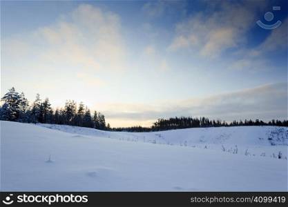Winter landscape from finland with snow