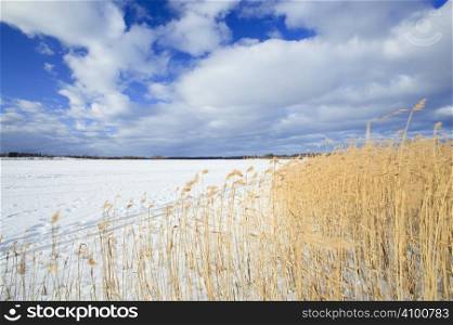 winter landscape from lake (shoddot in Finland)