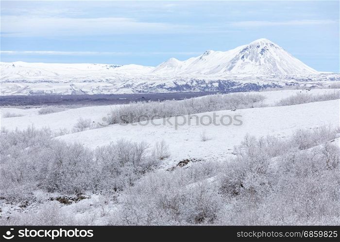 Winter landscape Iceland. Winter landscape with snow covered trees at Dimmuborgir Lake Myvatn, Iceland