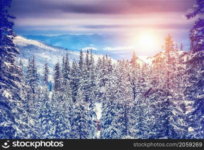 Winter landscape in Carpathian mountains. Ukraine, Europe. Retro style filter. Instagram toning effect.. Amazing evening winter landscape.