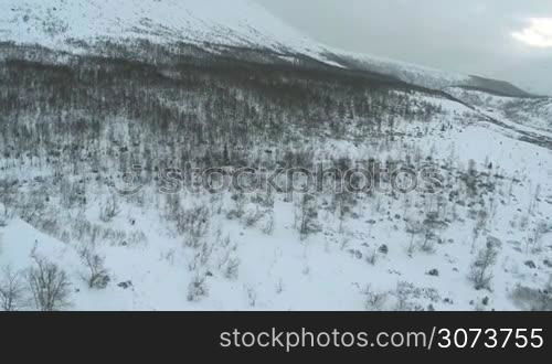 Winter landscape in mountains. Smooth snowy hill slope with bare and evergreen trees. Mountain panorama in the distance, aerial view