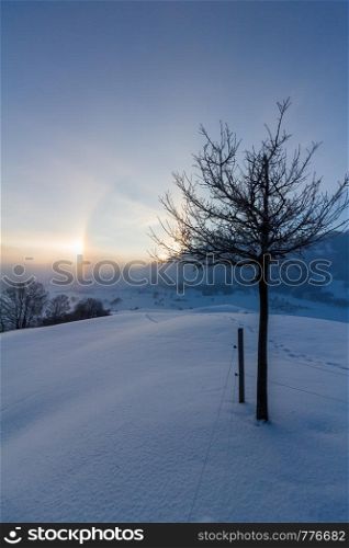 Winter landscape in the morning: Sunrise and halo phenomena