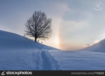 Winter landscape in the morning: Sunrise and halo phenomena