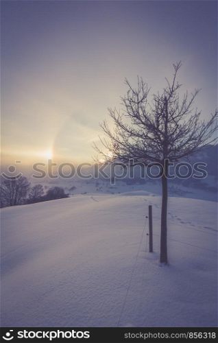 Winter landscape in the morning: Sunrise and halo phenomena