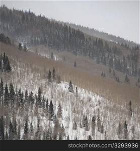 Winter landscape in Vail, Colorado 2010