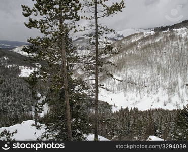 Winter landscape in Vail, Colorado