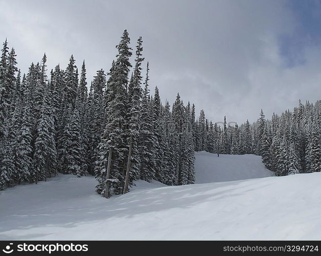 Winter landscape in Vail, Colorado