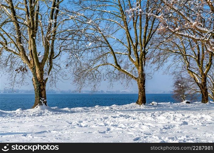 winter landscape lake constance with sun and blue sky