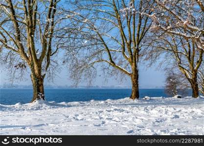 winter landscape lake constance with sun and blue sky