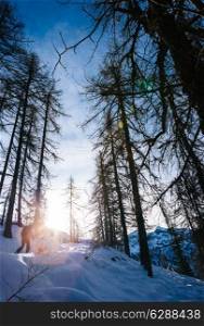 Winter landscape. Man walking in a snowy woods in italian Alps, Val d&rsquo;Aosta, Europe.