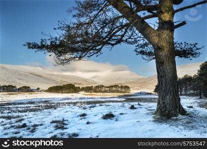 Winter landscape of mountain range with low cloud on bright morning