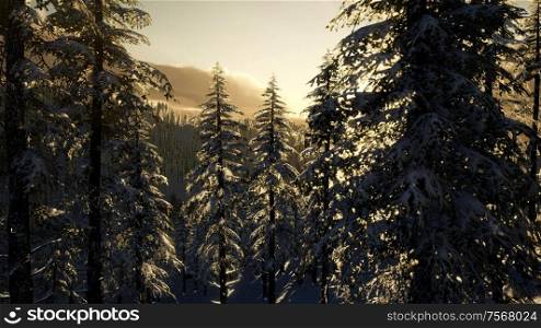 winter landscape on a sunset. Mountains Carpathians, Ukraine. Winter Landscape on a Sunset