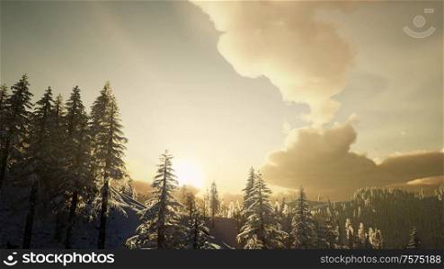 winter landscape on a sunset. Mountains Carpathians, Ukraine. Winter Landscape on a Sunset