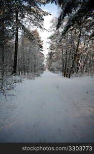 Winter landscape on clear day