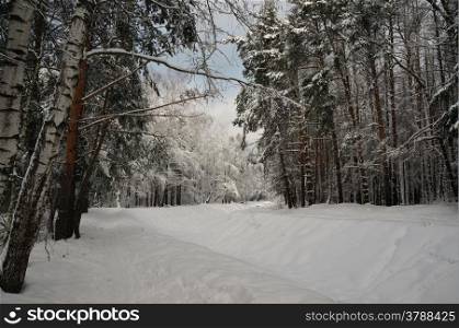 Winter landscape - river bed under the snow in the forest