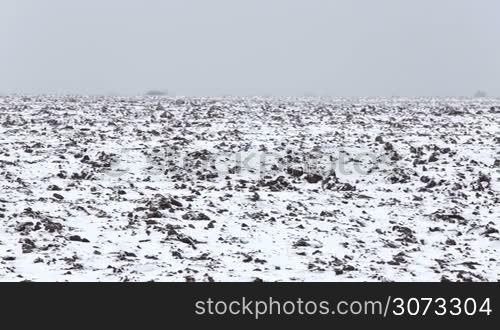 Winter landscape: Snow covered plowed Field. Trail crossing the field