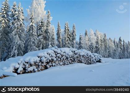 Winter landscape.snow-covered stack of logs