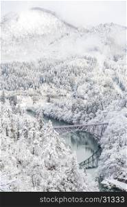 Winter landscape snow covered trees with River and Bridge