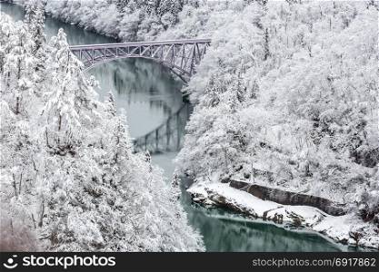 Winter landscape snow covered trees with train crossin River on Bridge