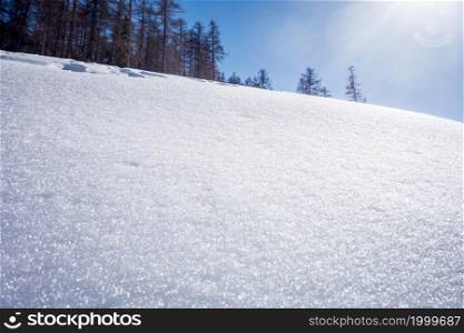 Winter landscape. Snow texture and forest background. Snow texture landscape background
