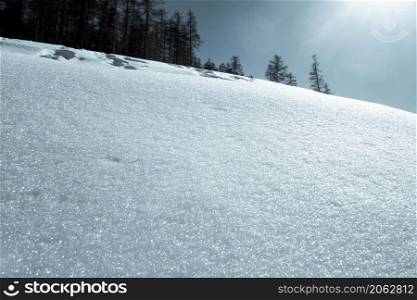 Winter landscape. Snow texture and forest background. Snow texture landscape background