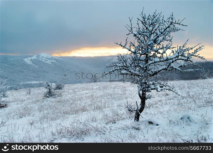 Winter landscape- sunset in winter mountains and icy forest.
