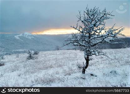 Winter landscape- sunset in winter mountains and icy forest.