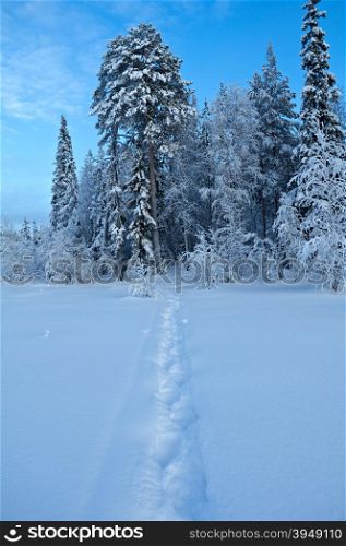 Winter landscape.Trail in the snow