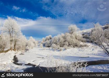 Winter landscape - trees near the river and blue sky. The Winter landscape