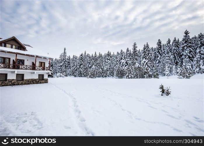 Winter landscape view with pine forest at a cloudy dull day.A rest house on the foreground. Winter landscape view with pine forest