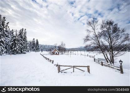 Winter landscape view with pine forest at a cloudy dull day.A small barbecue house on the background. Winter landscape view with pine forest