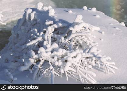 Winter landscape. White winter wonderland landscape